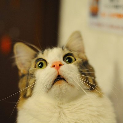 Profile Picture of Robert Reiner (@RobertReiner8) on Twitter