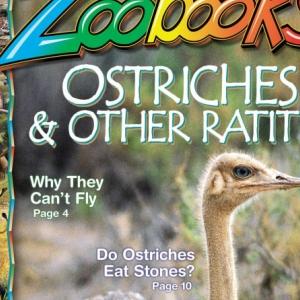 Profile Picture of Eberle Middle (@EberleBrad) on Twitter