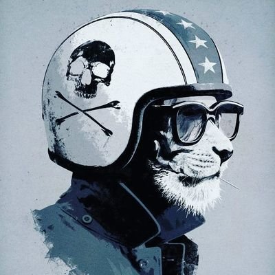 Profile Picture of Paul Mouton (@plmmotorsport) on Twitter