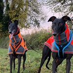 Profile Picture of Lynsey Corelli (@lynseycorelli) on Instagram