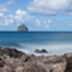 Profile Picture of Nicole Mage (@nicolemage) on Flickr