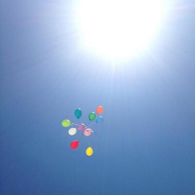 Profile Picture of Linda Schumacher (@srvbeef) on Twitter