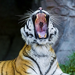 hunter bryant - Flickr Profile Picture of hunter bryant (@hunterbryant1) on Flickr