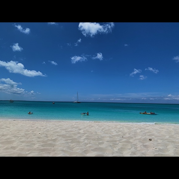 Bella Bucy - Poshmark Profile Picture of Bella Bucy (@_bellab2020_) on Poshmark