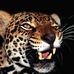 Profile Picture of Cecil Ralph (@cecil.ralph.75) on Facebook