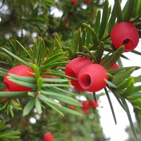 Profile Picture of Gary Hannes (@gary-hannes) on Quora