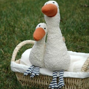 Profile Picture of Ian (@FishmanRupert) on Twitter