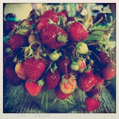 Profile Picture of Rachael Weisman (@cabbagesnthings) on Twitter