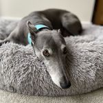 Georgina - Instagram Profile Picture of Georgina (@georginarees75) on Instagram