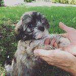 Profile Picture of Leo Duncan (@leosplace515) on Instagram