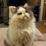 Maxine Askey - Instagram Profile Picture of Maxine Askey (@maxineaskey) on Instagram