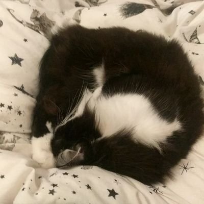 Profile Picture of Alex Eaton (@BertBear32) on Twitter