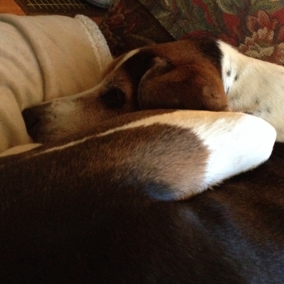 Profile Picture of Angie Adlington (@aadlingtin) on Poshmark