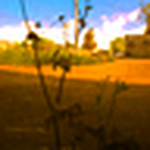 Profile Picture of Yiqi Bo (@sunny.bo) on Flickr