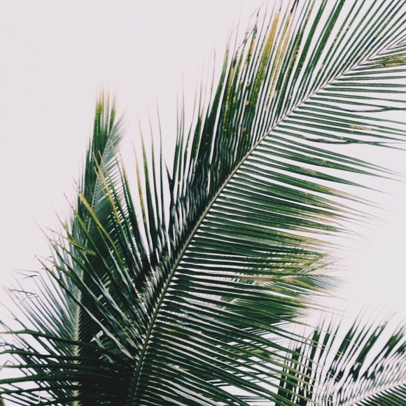 Profile Picture of Nicolas Gomez (@ngomez97) on Poshmark