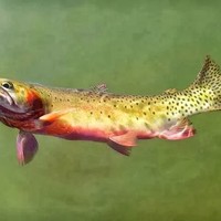 Profile Picture of Jerry Abbott (@jerry-abbott-2) on Quora