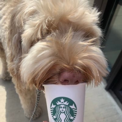 Profile Picture of TennesseeGirl123 (@haley_gautreaux) on Twitter