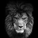 Profile Picture of robert amato (@robertamato3) on Instagram