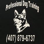 Profile Picture of Neil Stokes (@thedogman.orl) on Instagram