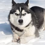 Profile Picture of Derek Hepple (@Derek-Hepple) on Facebook