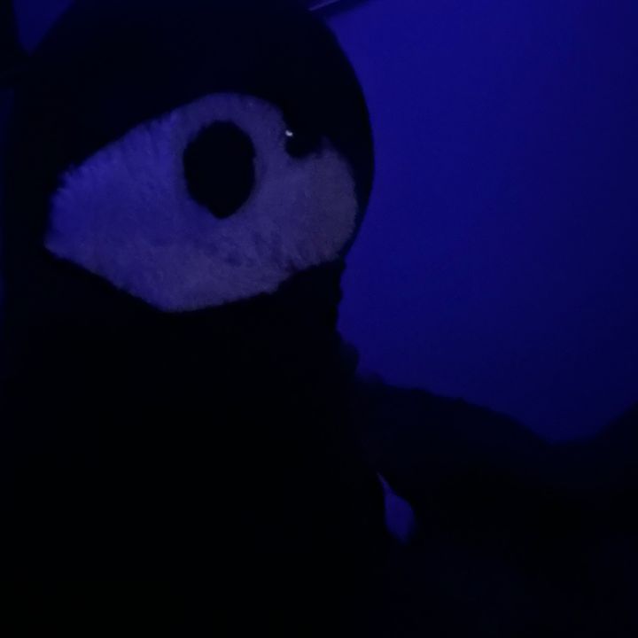 Profile Picture of Ericworstt_ (@3am.duke) on Tiktok