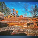 Profile Picture of Mitch Wagner (@mitch_wagner_) on Instagram