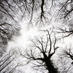 Profile Picture of baxterhill.photography (@baxterhill.photography) on Instagram