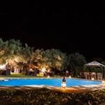 Robert Nitzke - Instagram Profile Picture of Robert Nitzke (@nitzkerobert) on Instagram