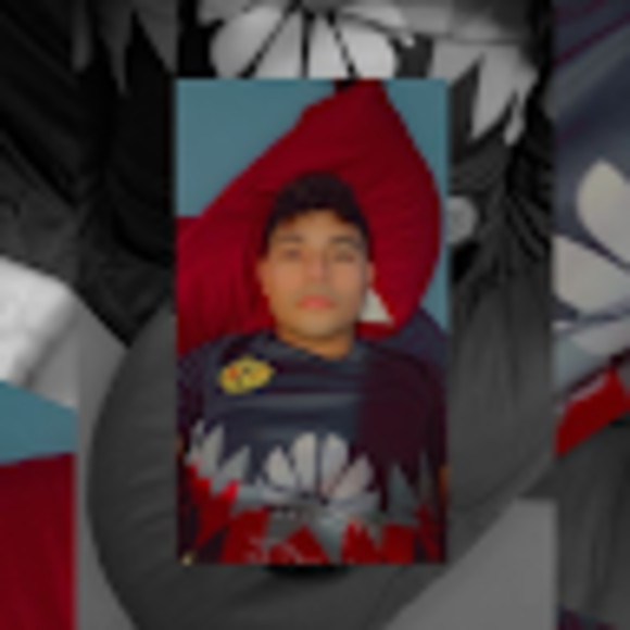 Profile Picture of Cristian orlando Quinteros santiago (@palea21) on Poshmark