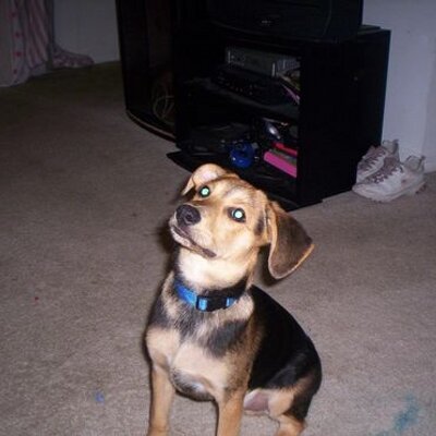 Profile Picture of Nabil Abboud (@789nabil) on Twitter