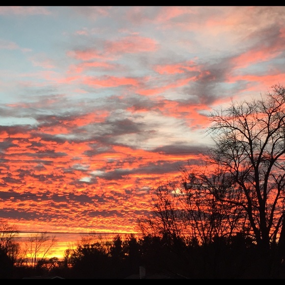 Profile Picture of Sophia Varughese (@sophiav14) on Poshmark