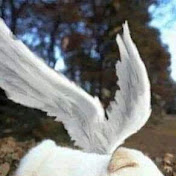 Profile Picture of Janaina Silva (@janainasilva-jm1hf) on Youtube