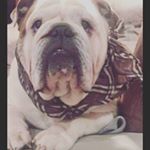 Profile Picture of Daniela Di Bartolomeo (@daniela.dibartolomeo.92) on Instagram