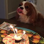 Profile Picture of Doug Bauer (@doug.bauer) on Instagram