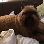 Profile Picture of Nancy Lucente (@nllucente) on Instagram