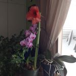 Profile Picture of Robin Colyer (@robinbrycecolyer) on Instagram
