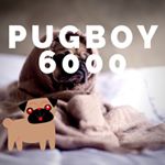 Profile Picture of Liam Thomas Baird (@pugboy6000) on Instagram