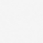 Profile Picture of Max Paulson (@max_paulson04) on Instagram