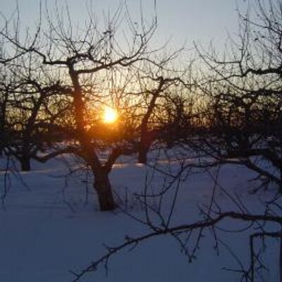 Profile Picture of Peter Scherer (@PeterScherer2) on Twitter