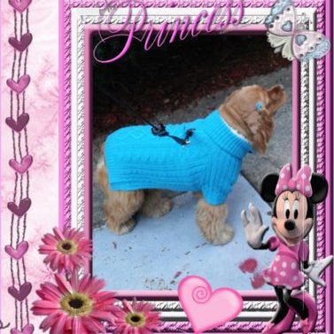 Profile Picture of Neisa Perez (@BaezNeysa) on Twitter