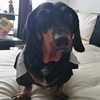 Profile Picture of Dayana Cadena (@@dayanacadena04) on Tiktok