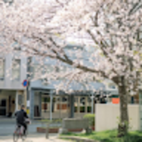 Profile Picture of Wen Shao (@wenshao518) on Poshmark