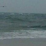 Profile Picture of Amy Lynn McSweeney (@amylmcsweeney) on Instagram