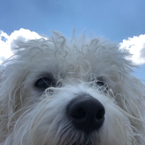 Liv Gehling - Poshmark Profile Picture of Liv Gehling (@livgehling) on Poshmark