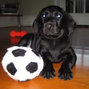 Profile Picture of Arielle Webb (@368471569) on Myspace