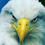 Profile Picture of kevin perry (@perryman2226) on Instagram