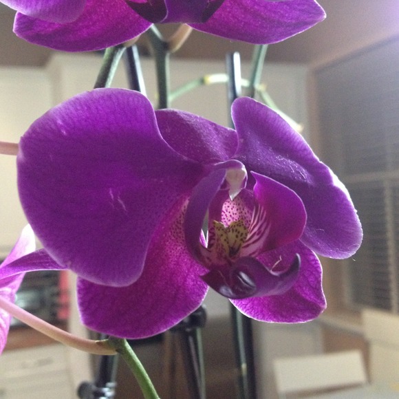 Monica Recine - Poshmark Profile Picture of Monica Recine (@mrecine) on Poshmark