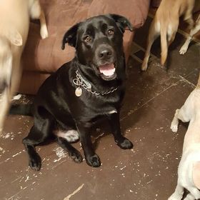 Profile Picture of JoAnne Tickner (@joanne6105) on Pinterest