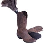 Profile Picture of Amber Cedar (@stampedecleaningservices) on Instagram