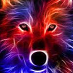 Profile Picture of Gino (@ginopacella75) on Instagram